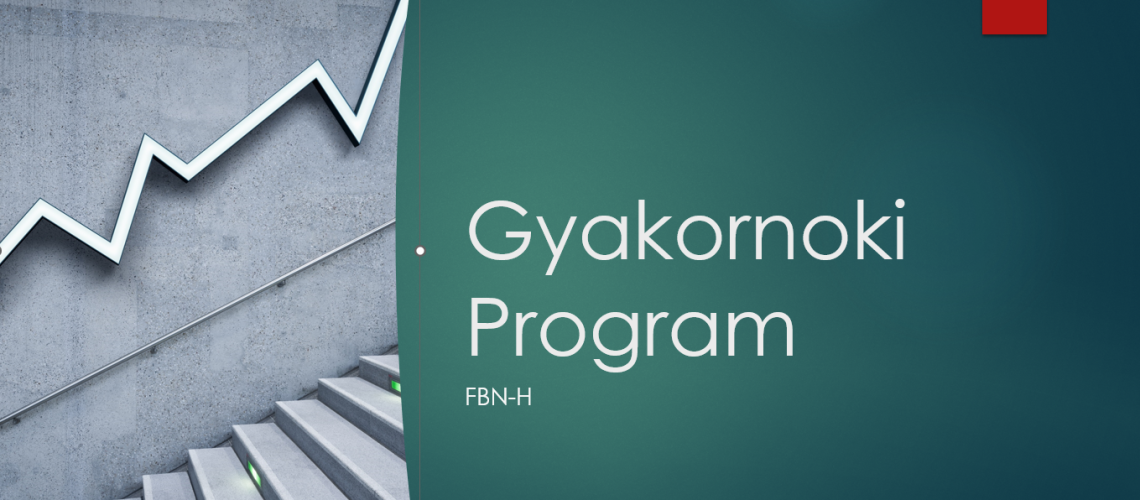 kep gyakornoki